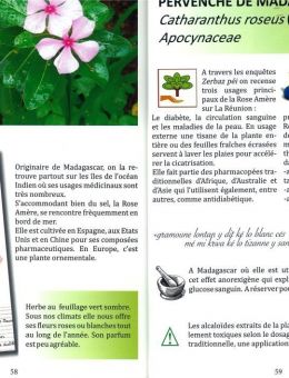 Livre Zerbaz Péi - Extrait Livre Zerbaz Péi - Extrait