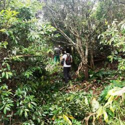 Entretien de la parcelle