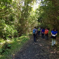 Reconnaissance des plantes en forêt (Formation septembre 2020)