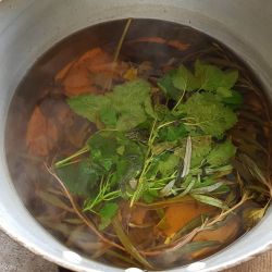 Tisane préparée avec 'zerbaz la cour'