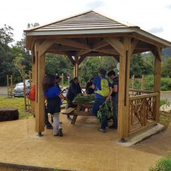 Partage du savoir et savoir-faire du tisaneur (Formation septembre 2020)