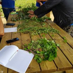 Explications du tisaneur (Formation septembre 2020)