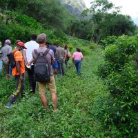 Formation PAPAM Saint-Louis - Chez le tisanier Wilfrid Thémyr