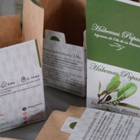 Visite et atelier chez Habemus Papam