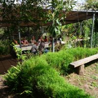 Echange avec M. Pascal Hoarau à Ilet Chicot sur la permaculture