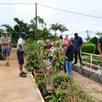 Visite de la pépinière Hibiscus de M. Jean-Daniel Lepinay