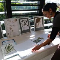 Concours Zerbaz Péi 2022 - Les herbiers