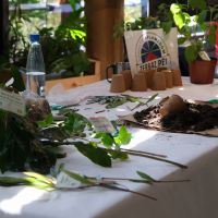 Concours Zerbaz Péi 2022 - Atelier plantation